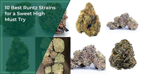 chanel runtz|10 Best Runtz Strains for a Sweet High 2023 .